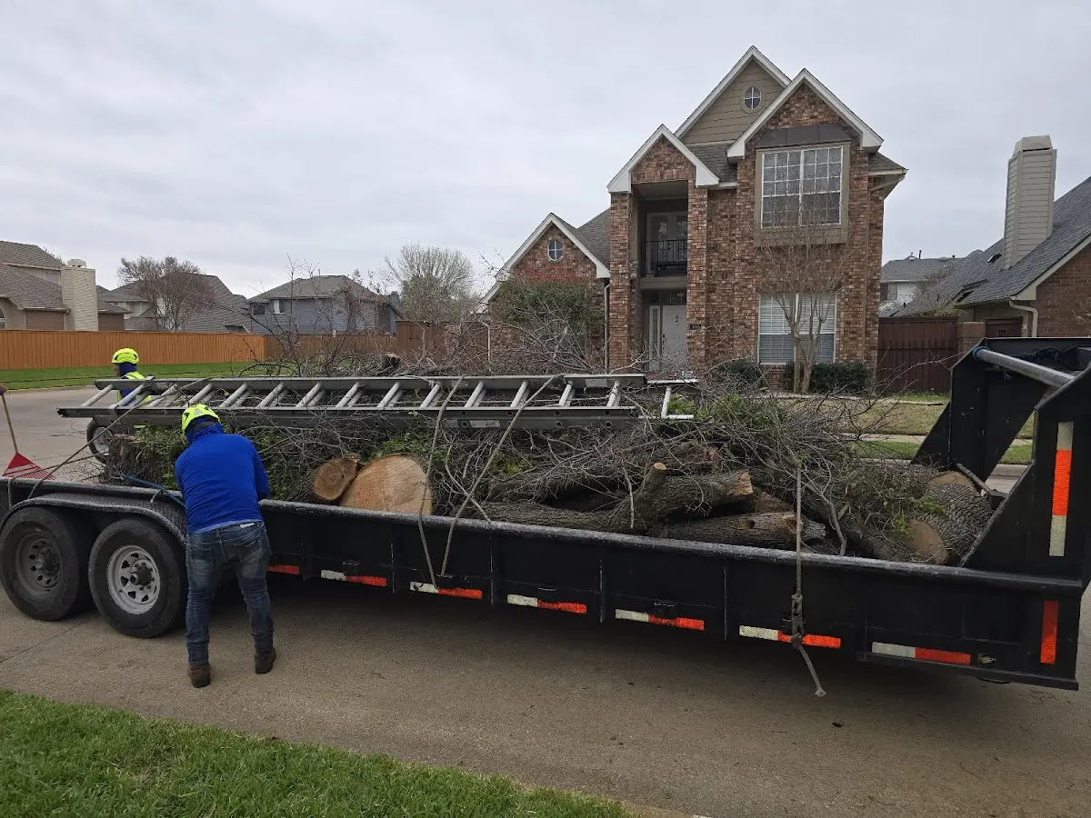 Expert Tree Removal with proper safety equipment in Burnside